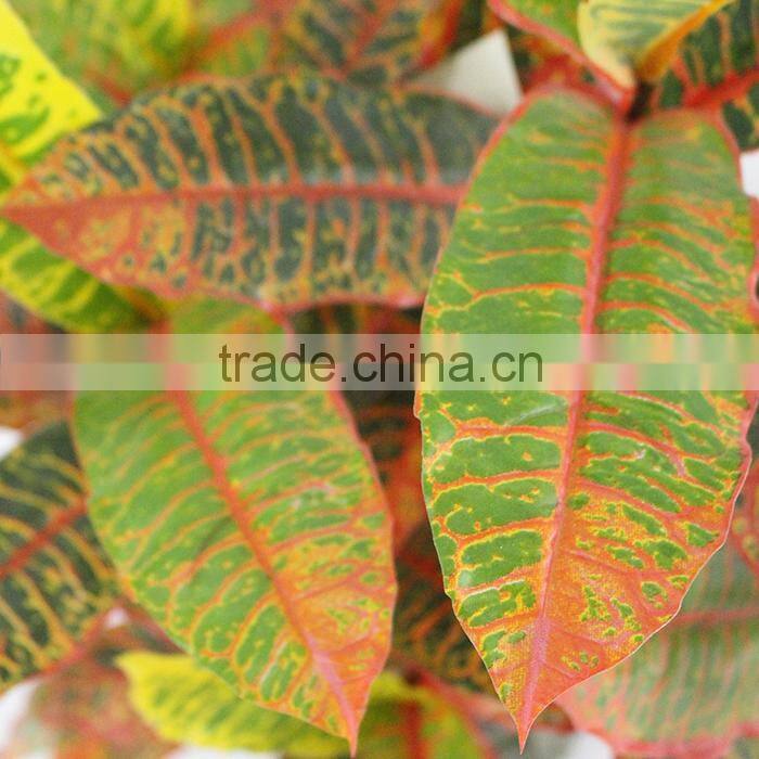 artificial ornamental plants banyan tree