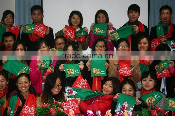 neckwear neckerchief,nechlace scarves