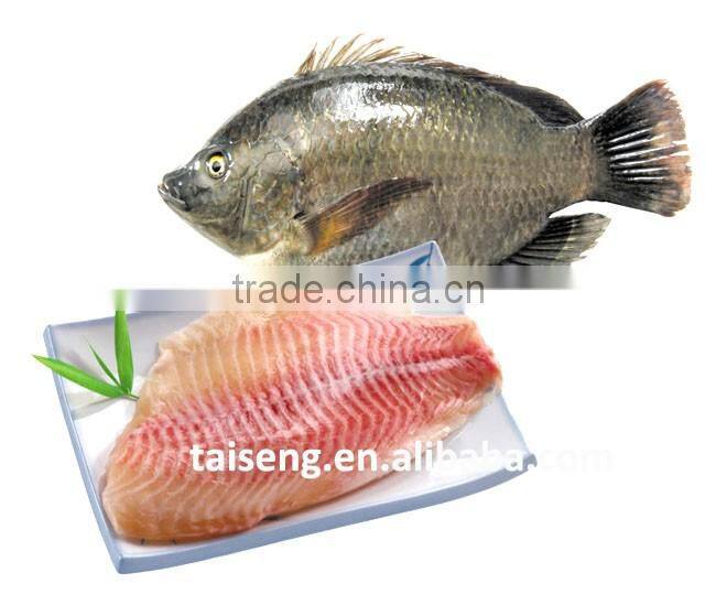 Sell Tilapia Tilapia Fillet