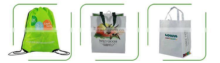 Promotion new design non-woven insulated cooler bag, lunch cooler bag wholesale