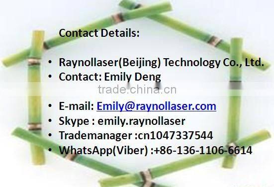 CE Approved Raynol Portable Q switched Nd Yag Laser Sale for Tattoo and Pigment Removal