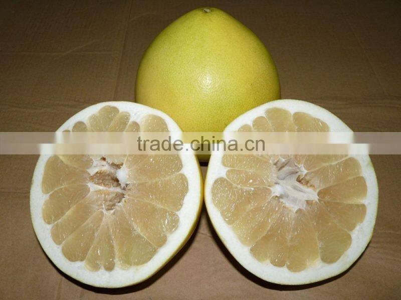 Professional fresh honey pomelo honey russia