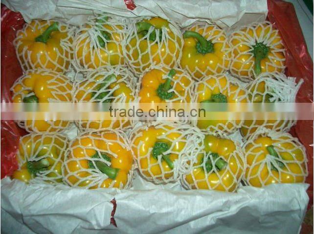 Fresh Red/Yellow Pepper