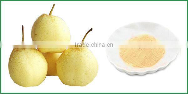 Pure and Natural Fruit Juice Powder Pear Flavour Fruit Powder / Spray-dried pear fruit powder
