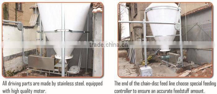 pig animal farming / farm equipment