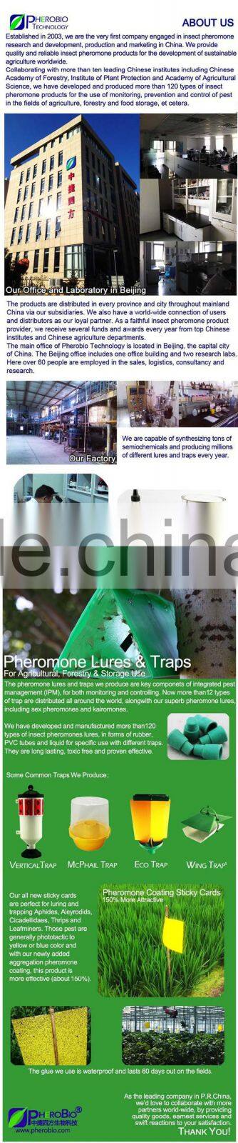 Fruit fly trap and liquid attractant (plant essence)