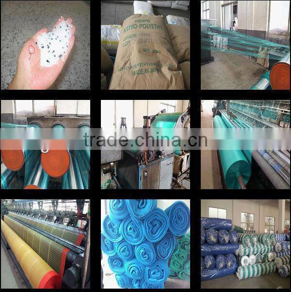 HDPE Garden Green Sun Shade Net / Netting / Cloth for Greenhouse / vegetable nursery