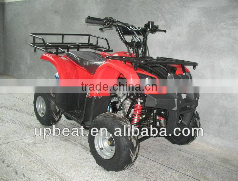NEW DIRT AUTO QUAD BIKE ATV BUGGY 110cc PEEWEE CYCLONE