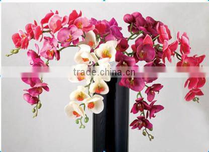 Colorful mini real touch artificial orchid flower
