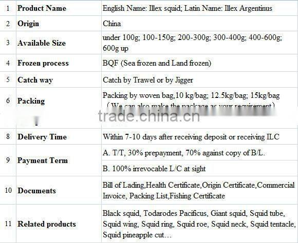 FROZEN ILLEX SQUID ARGENTINUS