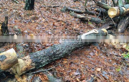 13inch Curved D Handle wooden Pruning garden cutting saw/hot saw