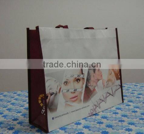 High Quality Laminated Non Woven/ TNT Snow Boots High Heeled Shoes Packing Bag