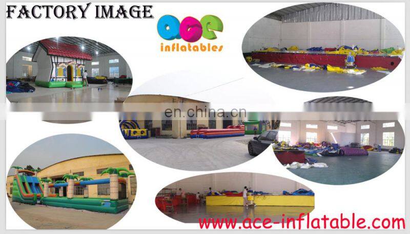 Hot Sales Slideway Frozen Theme commercial jumping castle