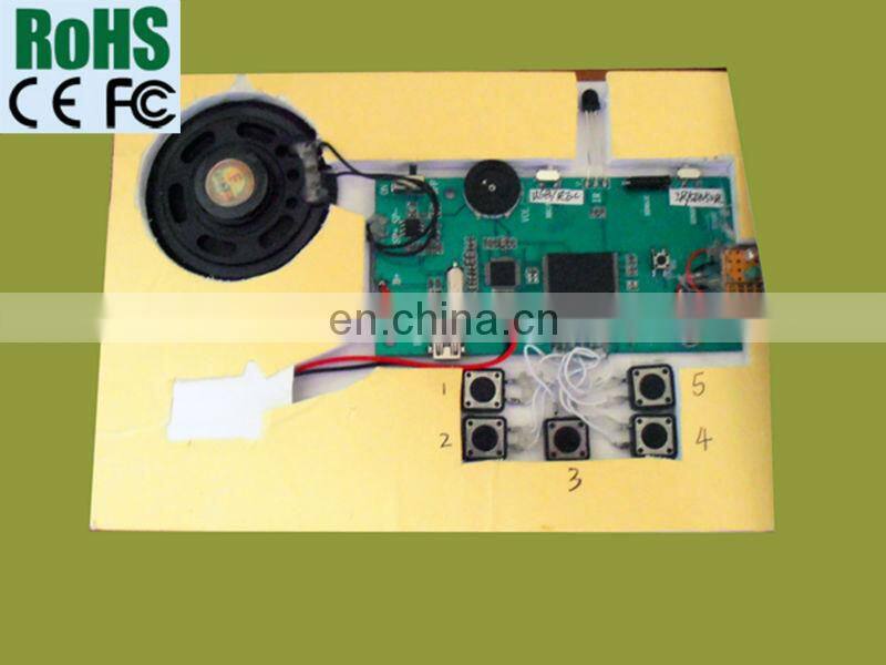 High Quality Small Voice Recorders for Cards chip ic