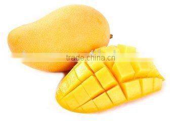 vacuum continuous dryer for mango