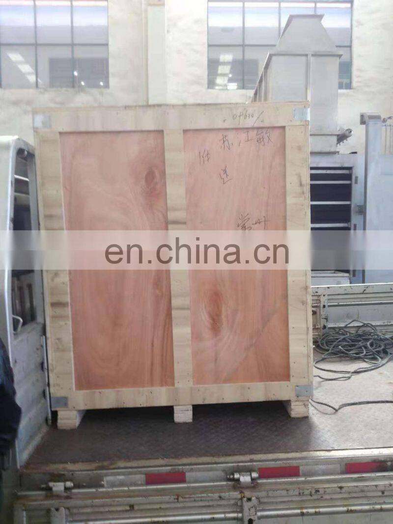 Hot Sale Large Capacity CT-C Hot Air Circulating Drying Oven For Fruit