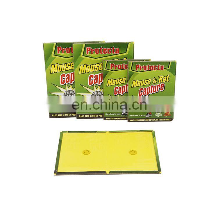 Household & garden pest control sticky mouse glue trap super glue trap for mouse