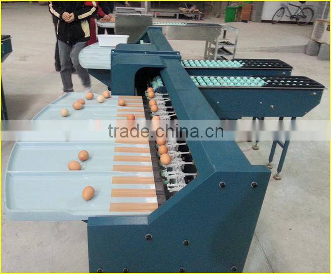 10000pcs/h egg brush washer egg processing machine , egg cleaning candling machine ,