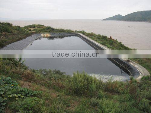 Geomembrane