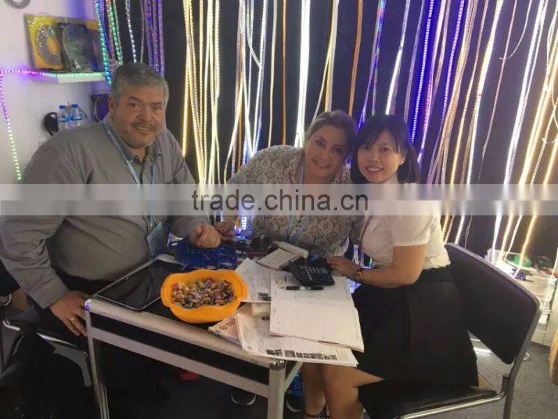 holiday wedding waterproof indoor/outdoor string lights