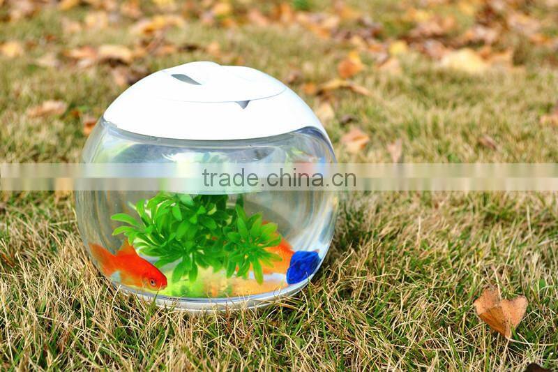 domestic desktop aquarium fish tank for coffee table