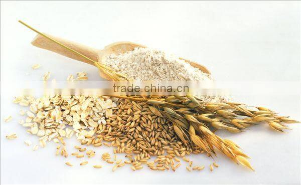 Rice Process Line Producess Artificial Rice