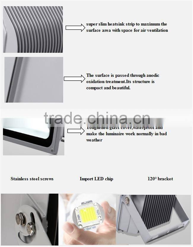 Cold white Waterproof 100W LED flood light with siliver aluminum housing