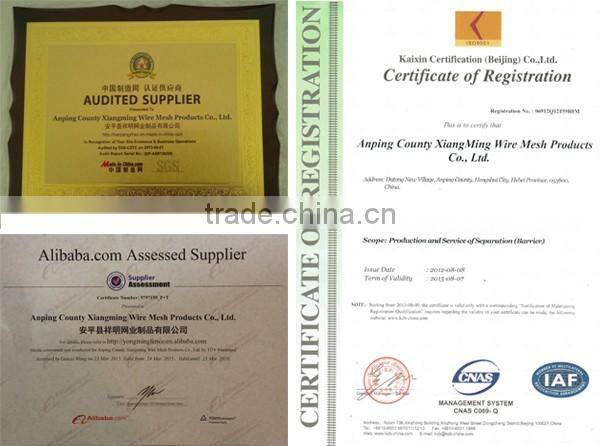 20 Years Factory and Expoter Weld Mesh 358 Security Fence