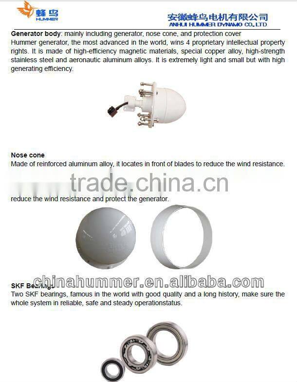 quiet cheap 500W 1000W 2000W Small Wind Tubine/windmill