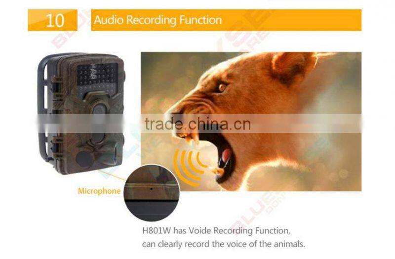 camera for hunting with great price ltl-8210a wide angle hunting camera H801W New design