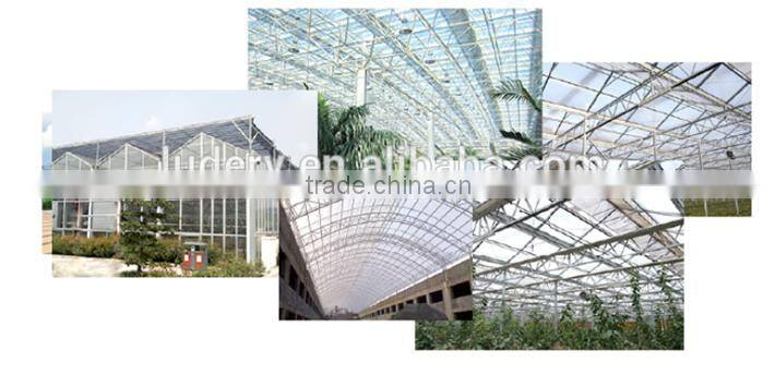 UV Protection Colored Solid/Hollow P4mm 6mm 8mm 10mm transparent canopy swimming pool coolycarbonate Roofing Sheet Manufacturers