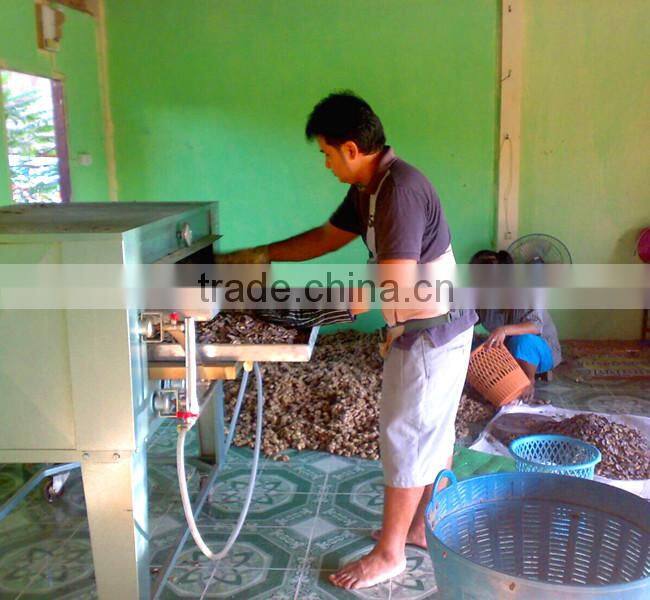 Dried Thai herbal medicine Plai herbal product (Essential oil)