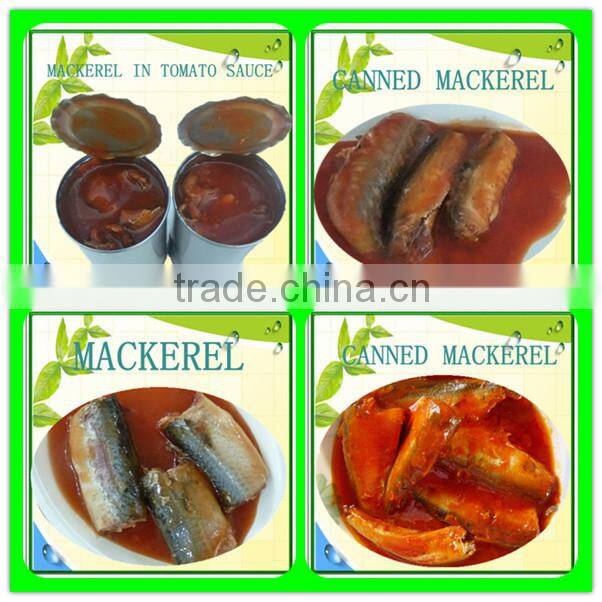155g canned mackerel in tomato sauce