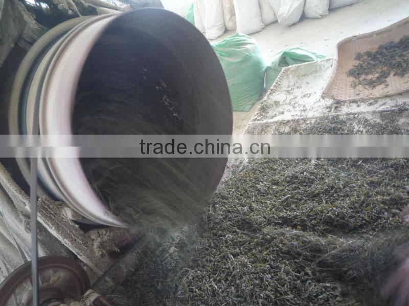 Top selling grade A dried shredded kelp