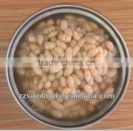 Supply Canned White Kidney Beans in Brine High Quality