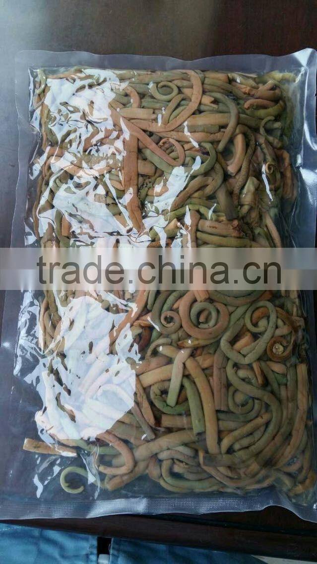 Chineses' osmunda cinamomea cinamomea in promotion vetch boiled osmund Japan osmunda cinamomea