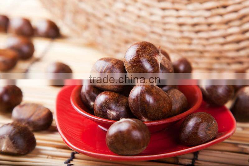 2015 new corp hot sale sweet organic and common fresh chestnuts 30/40 40/60