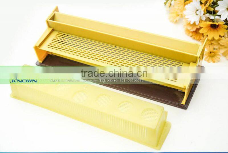 beekeeping equipments queen cell cup on sale