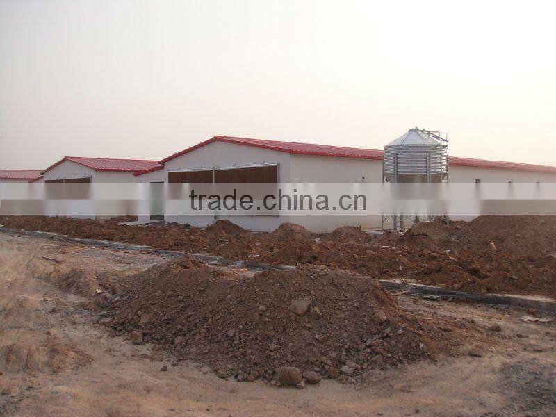 Chicken House Hot Galvanized Chicken Feed Silo