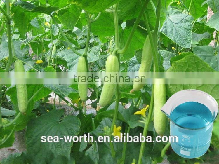 High quality sugar alcohol calcium for customer