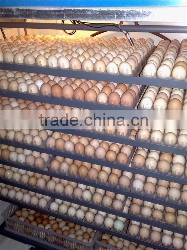 hot selling best price large capacity Professional Egg Incubator and Hatcher