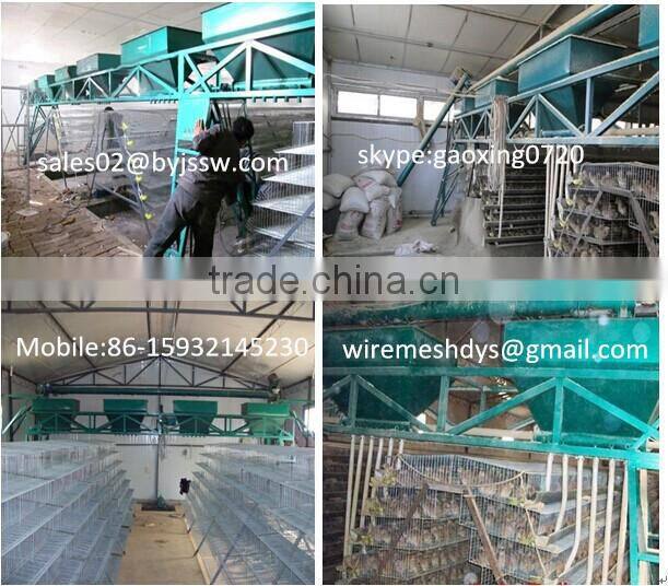 Alibaba Supply Quail Cages For Laying Hens