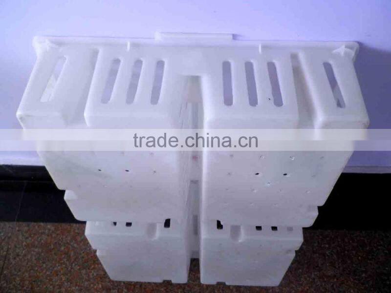 plastic chicken tranport stackable cage/box/crate for child chicken