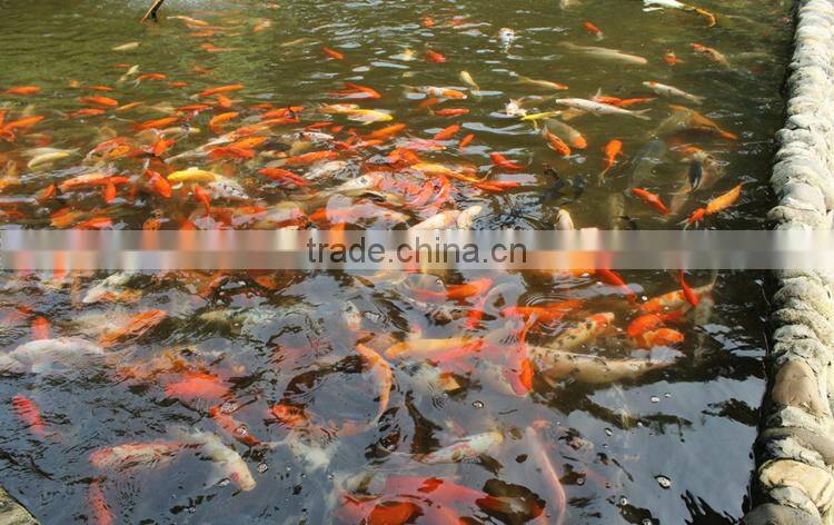 Neweek for fish shrimp pond farming water aerator