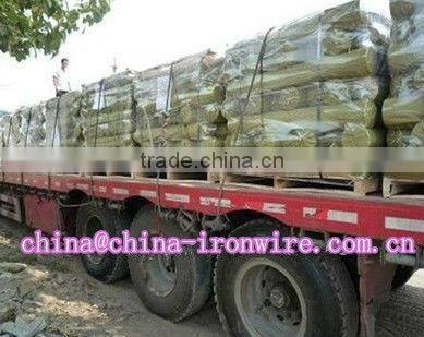 Black Wire Cloth(manufacturer)