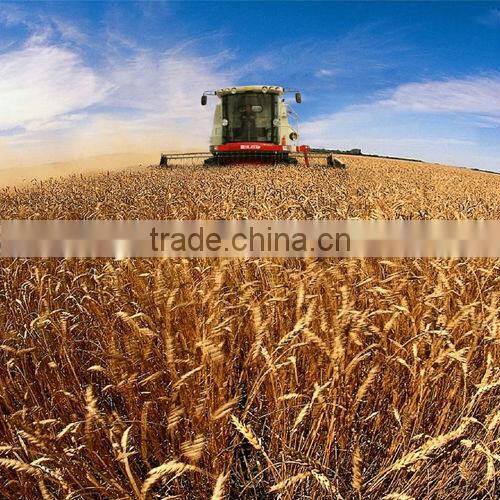 Wheat harvester YTO-3110