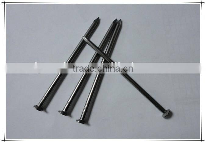 Common iron nail metal nails best price from china manufacturer