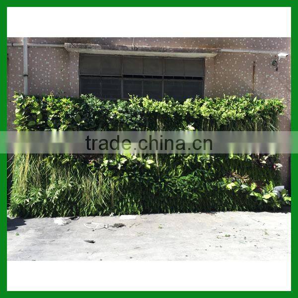 Artificial Garden Green Wall
