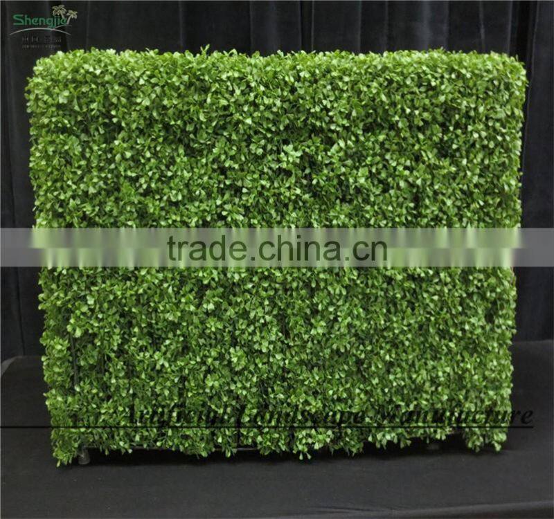 SAS016014 Artificial Hedge Panel UV Protect PE Boxwood Mat