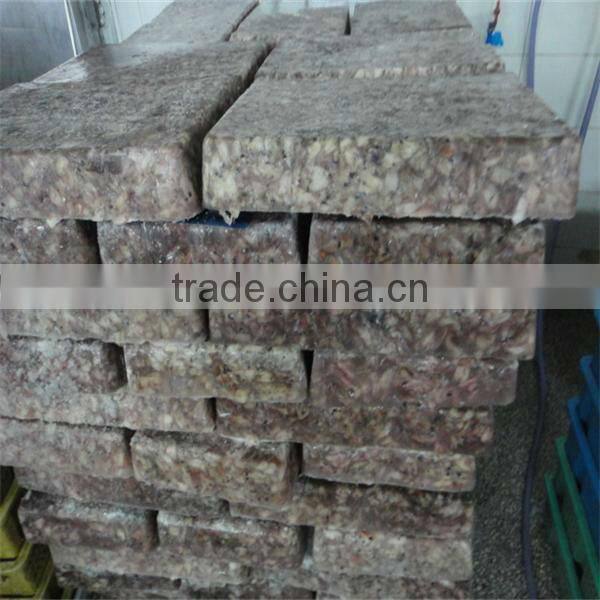 frozen squid for sale